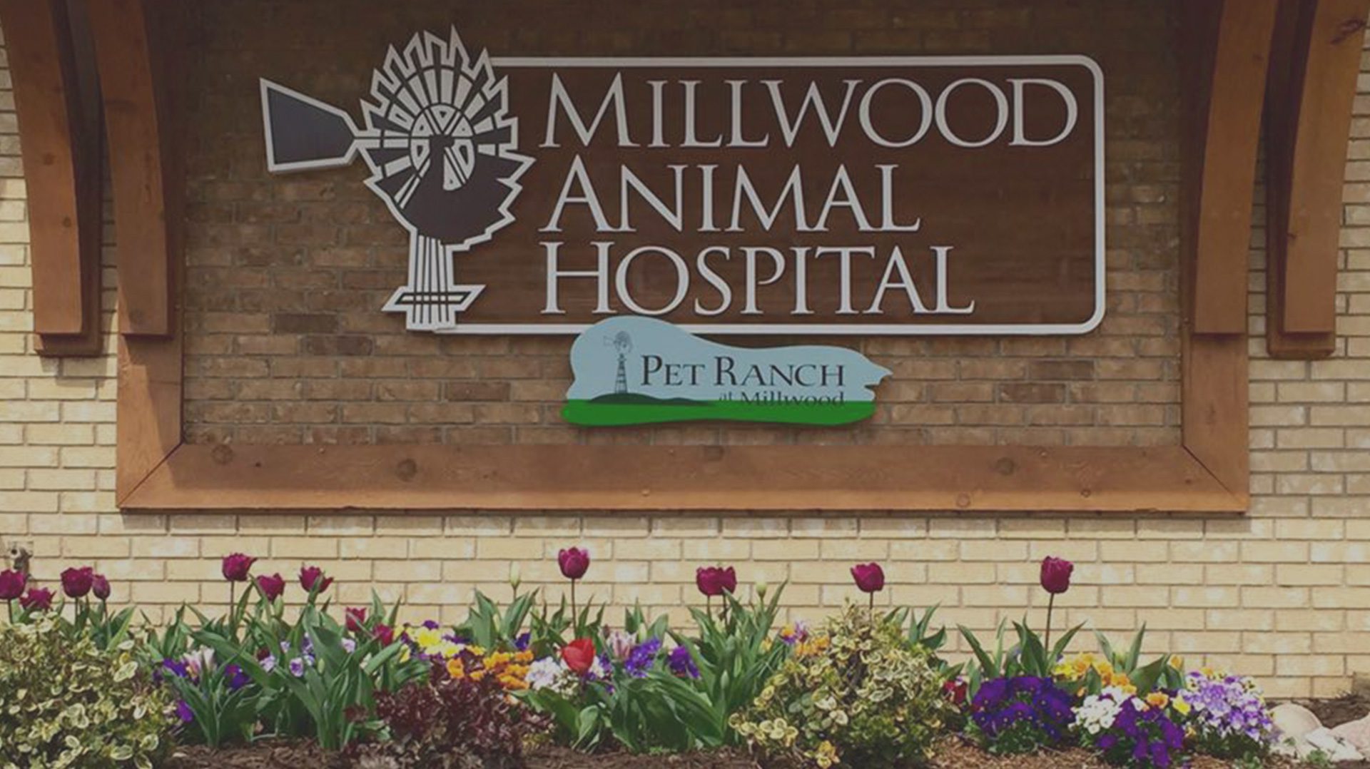 MILLWOOD ANIMAL HOSPITAL